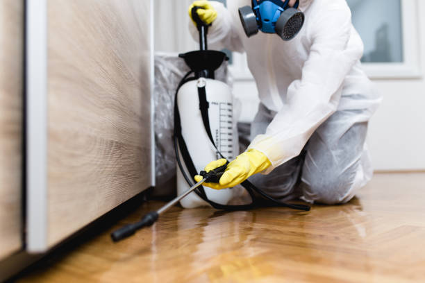 Best Termite Control Services  in Waite Park, MN