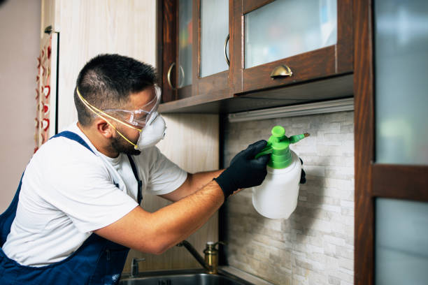 Best Cockroach Control Services  in Waite Park, MN