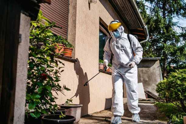 Best Emergency Pest Control  in Waite Park, MN