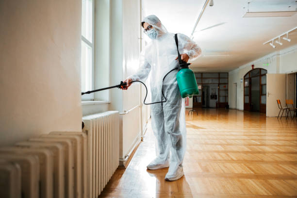 Best Termite Control Services  in Waite Park, MN