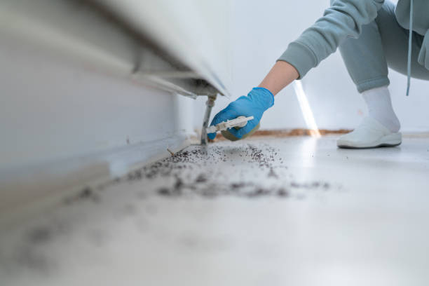 Best Pest Removal Services  in Waite Park, MN
