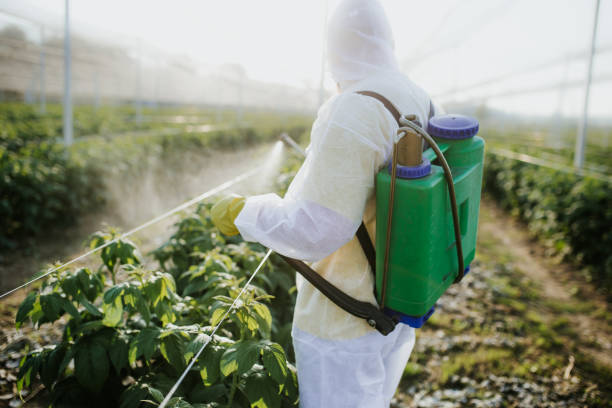 Best Local Pest Control Services  in Waite Park, MN